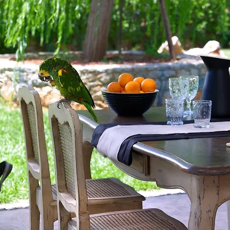 Sunvillage Boutique And Malia