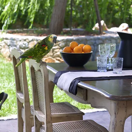 Sunvillage Boutique And Hotel Malia